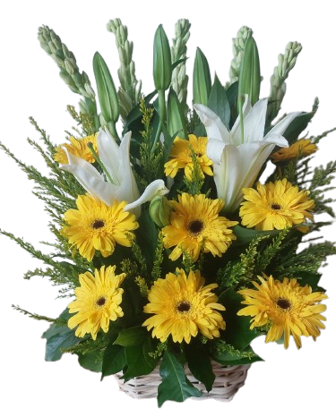 Sunlit Farewell Arrangement