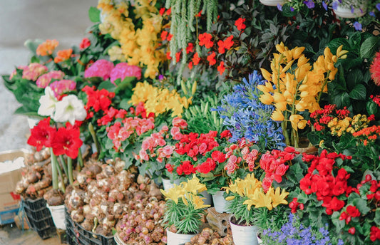 Unique Floral Tributes: Personalizing Funeral Flowers for a Lasting Memory - Floristella