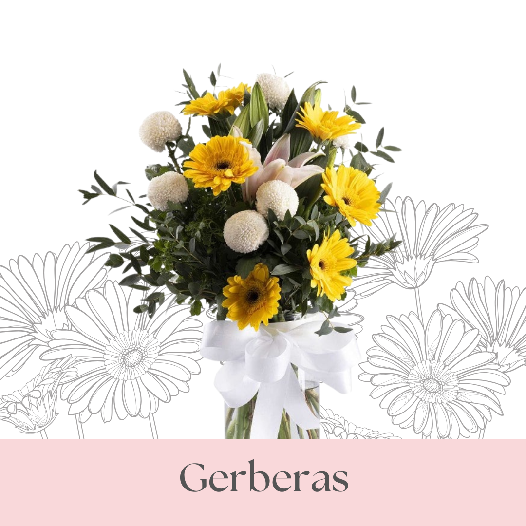 Gerbera Bouquets