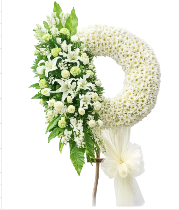 ✨ Circle of Everlasting Light