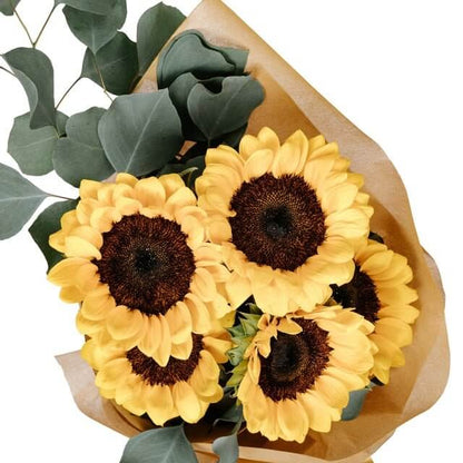 Full Sunflower Bouquet - Floristella