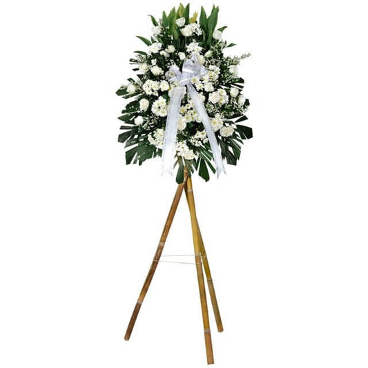 Simple sympathy flower arrangement featuring white roses, asters, and radius flowers, accented with greenline and ducktail leaves. Designed to express condolences, this arrangement is appropriate for both home and funeral settings.