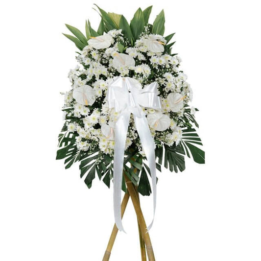 Image of a sympathy flower arrangement. The arrangement includes anthurium, radus, and aster flowers, along with greenline, fishtail, and ducktail leaves. Designed to express comfort and condolences, this arrangement is suitable for both home and funeral settings. It stands 6 feet tall and is 27.5 inches wide.